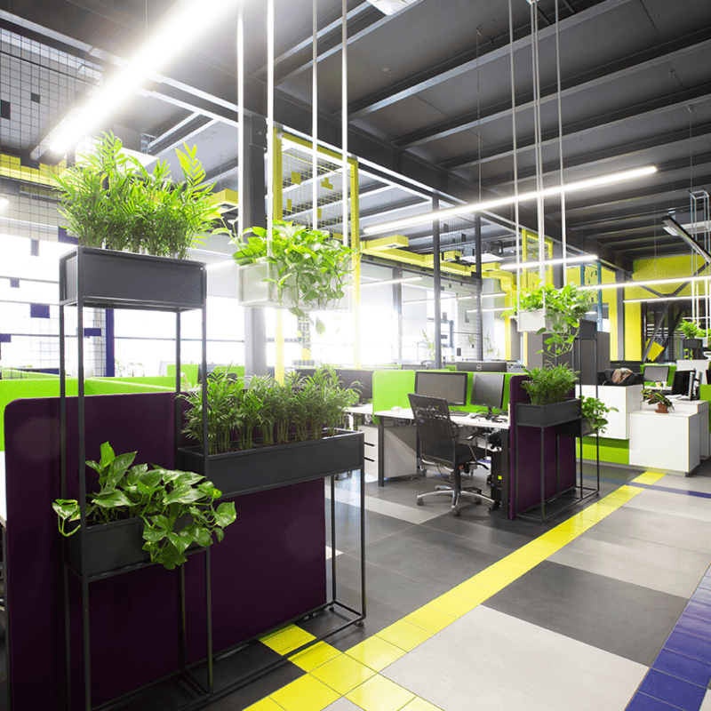 Tips to Keep a Healthy Workplace Environment: Best Practices